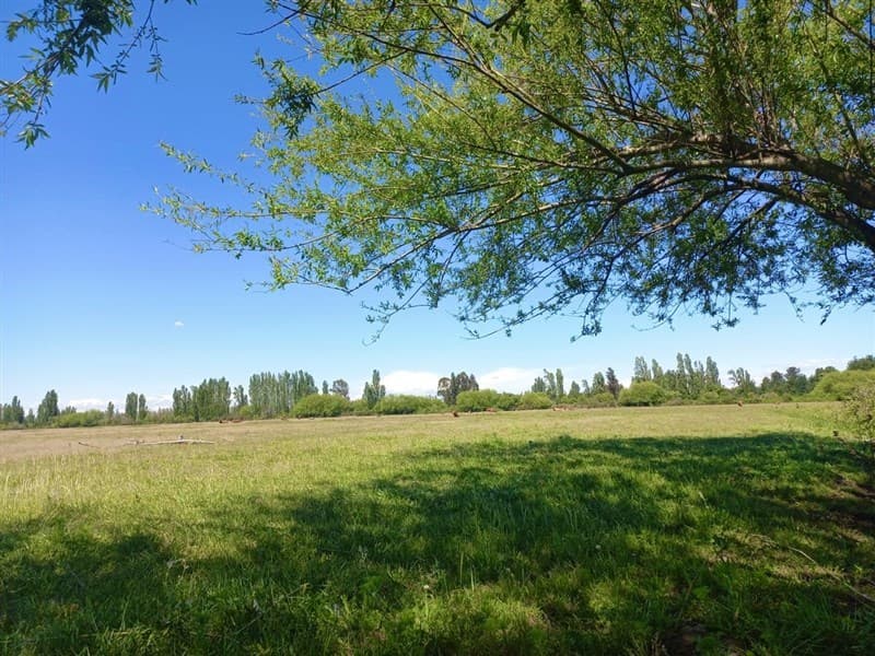 Hijuela // Lote A y B