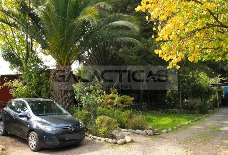 El bosque 746