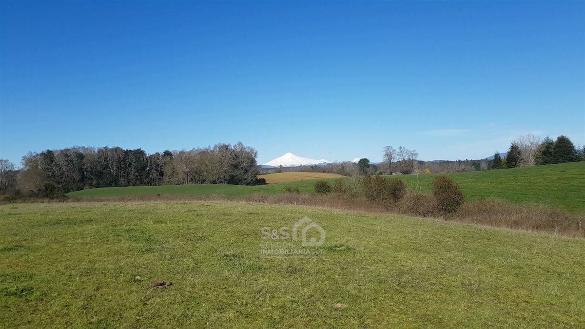 Camino Villarrica Loncoche km 22