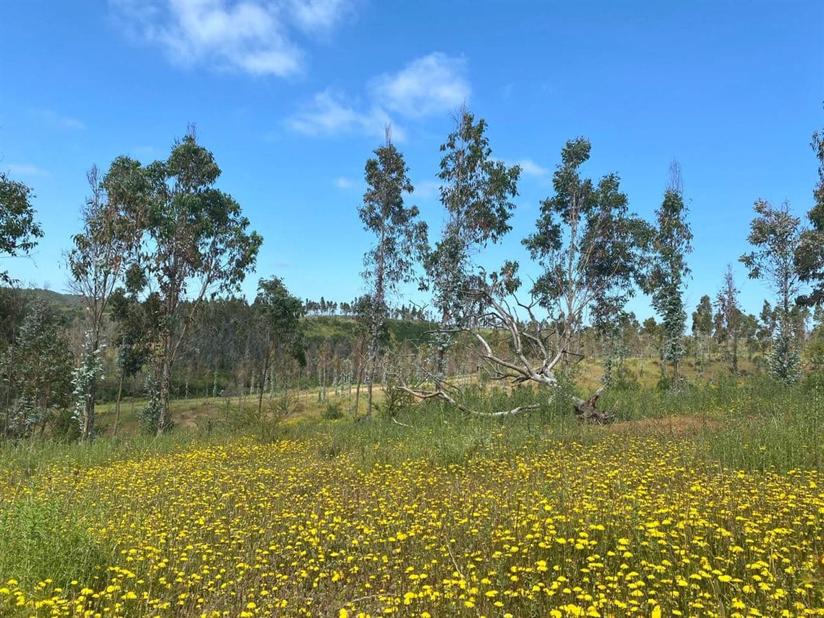 598W+CQ8 Santo Domingo