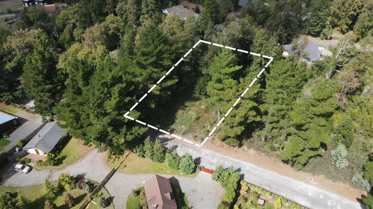 raices de puerto pucon