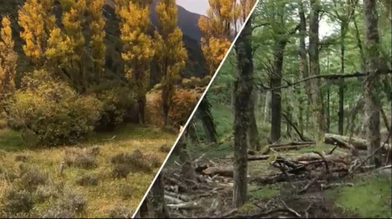 269 hect de campo cercano a Villa Cerro Castillo