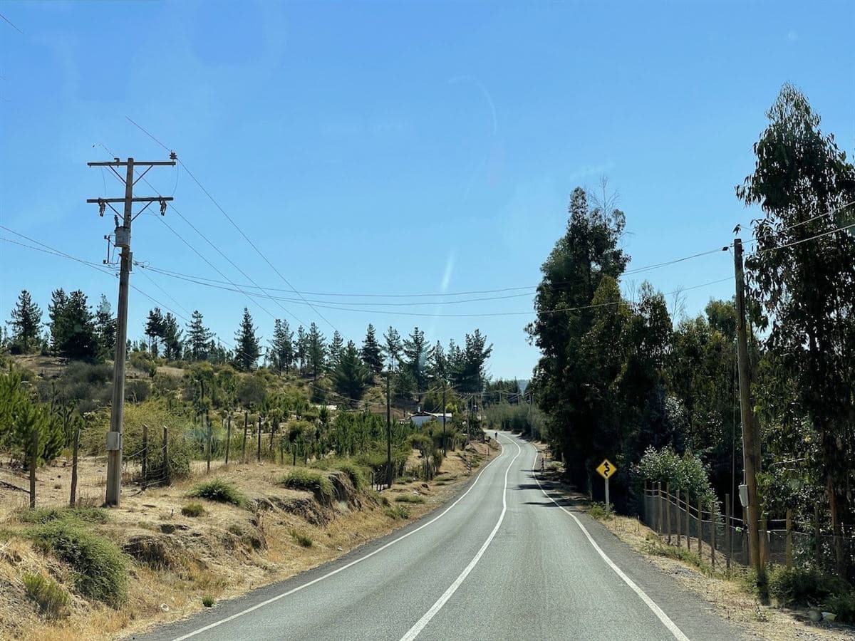San Pedro de Alcantara