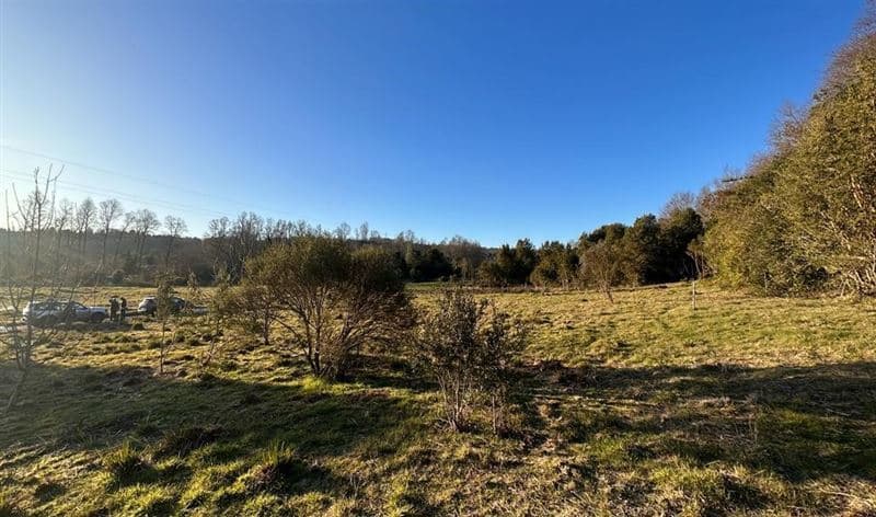 EL MONJE PANGUIPULLI