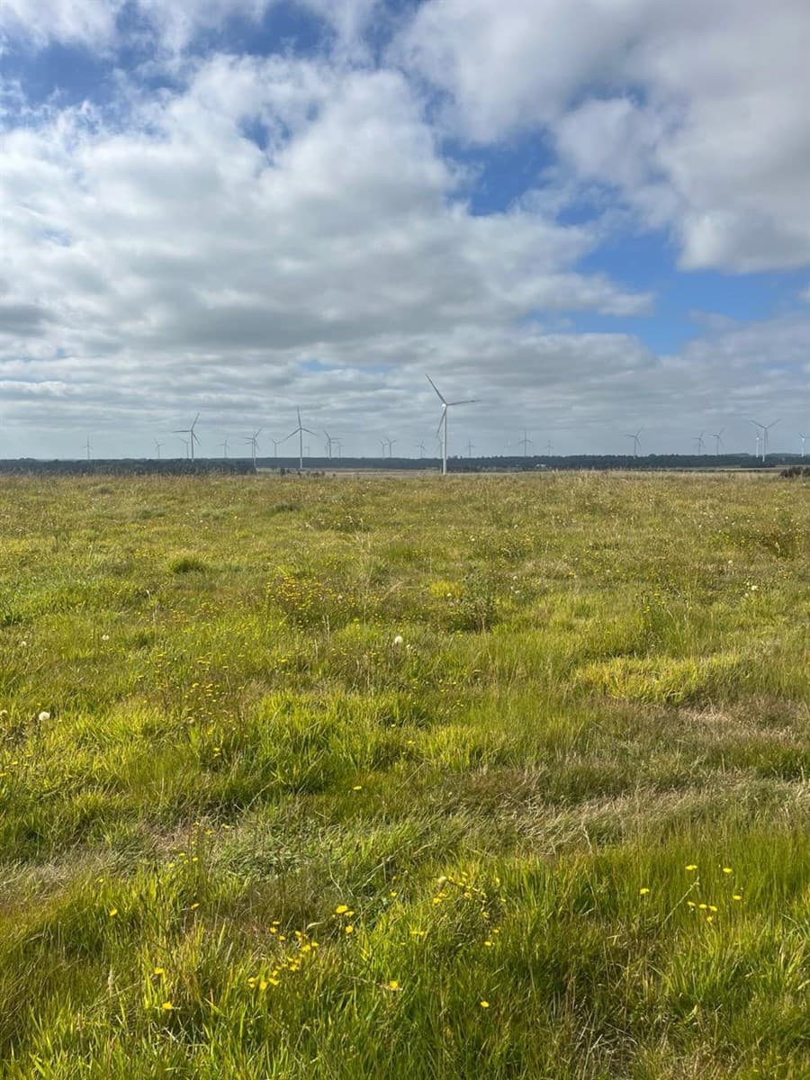 Brisas de Loncotoro Puerto Varas