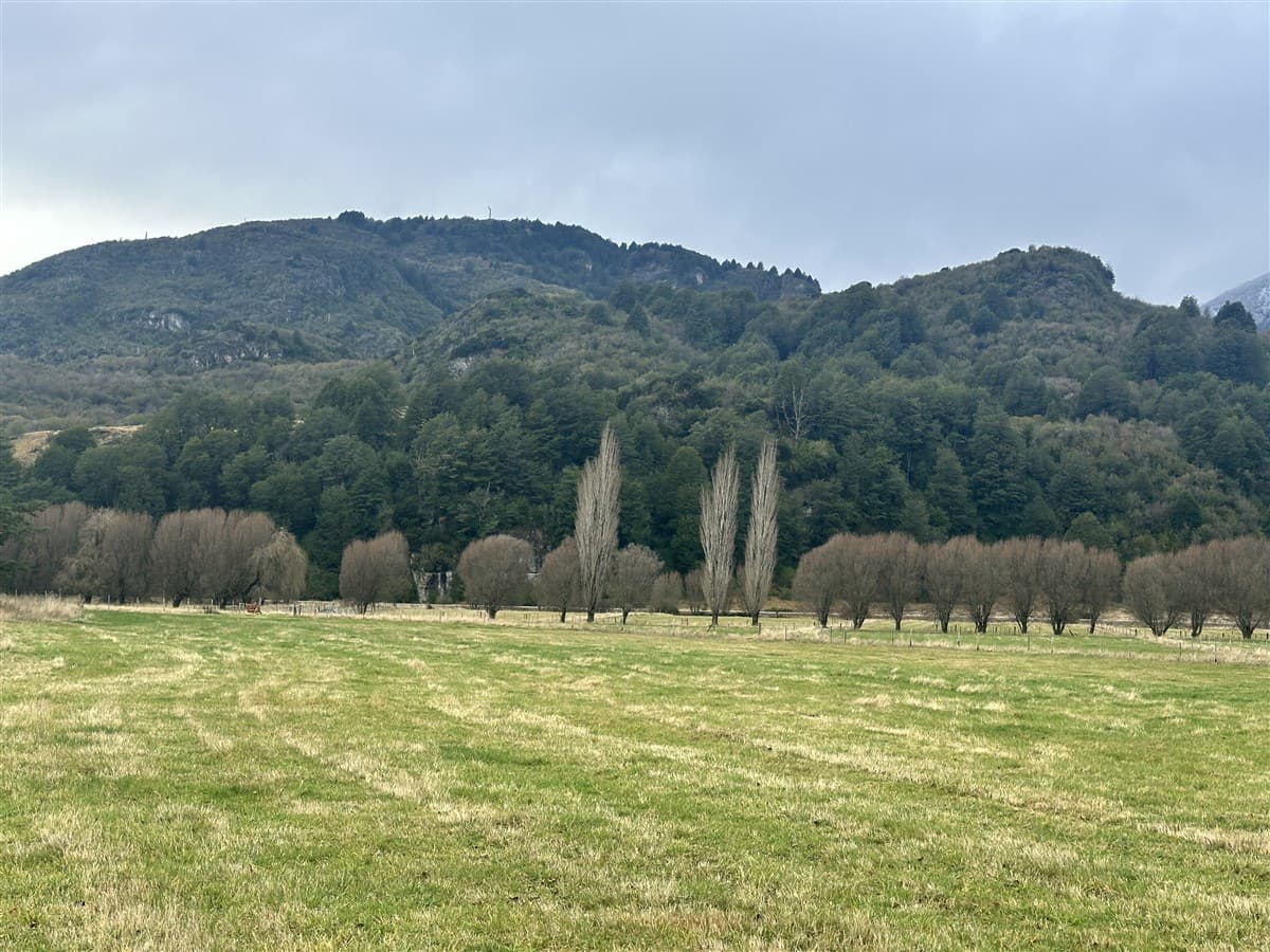 HERMOSA PARCELA EN MAÑIHUALES COSTADO DE RUTA 7 CARRETERA AUSTRAL