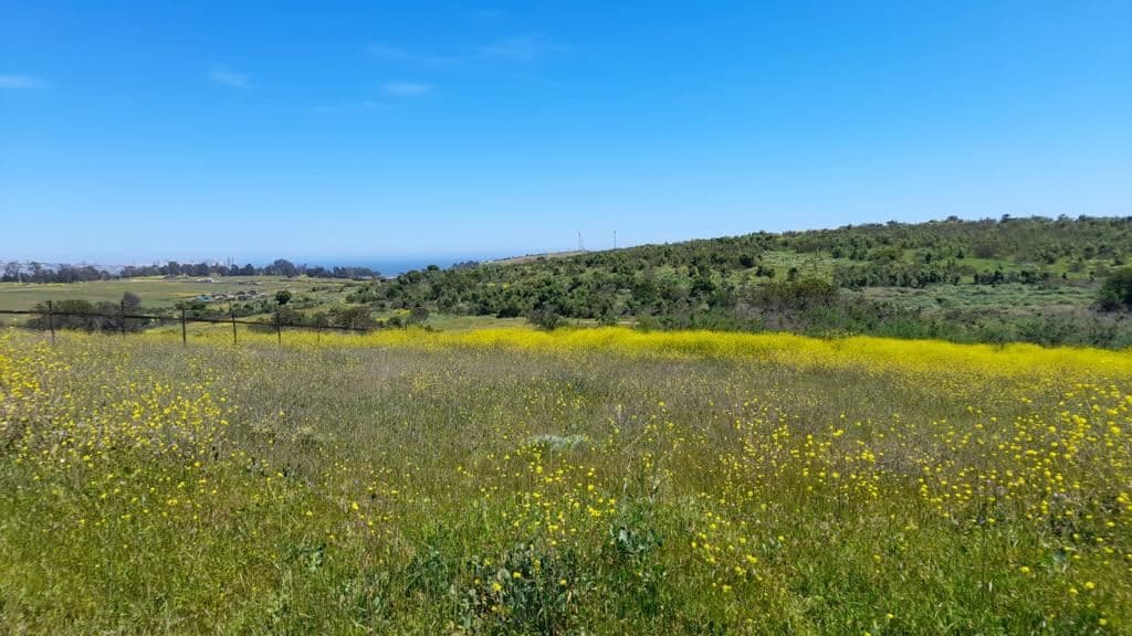 Venta terreno urbano en Mantagua 1000 m2 luz eléctrica rol propio 