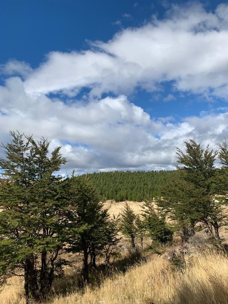 VILLA EL BLANCO COYHAIQUE