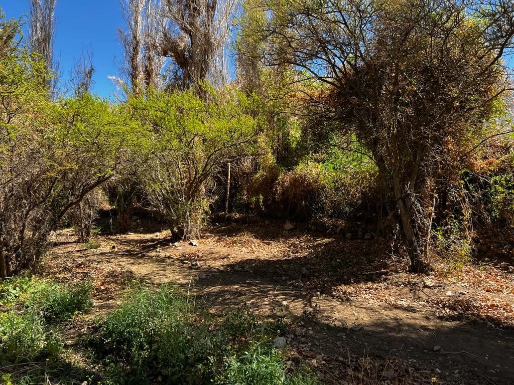 A escasos metros del Restaurante EL durmiente Elquino 