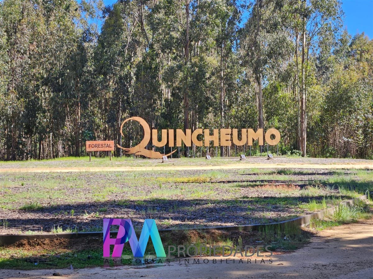 Hacienda Tanume