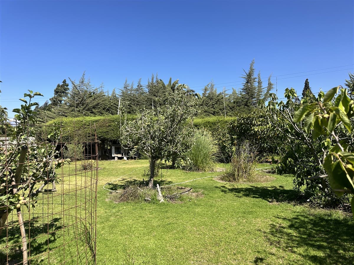 HERMOSA PARCELA DE AGRADO CAMIO AL VALLE DE ELQUI, 20 MINUTOS DEL CENTRO DE LA SERENA