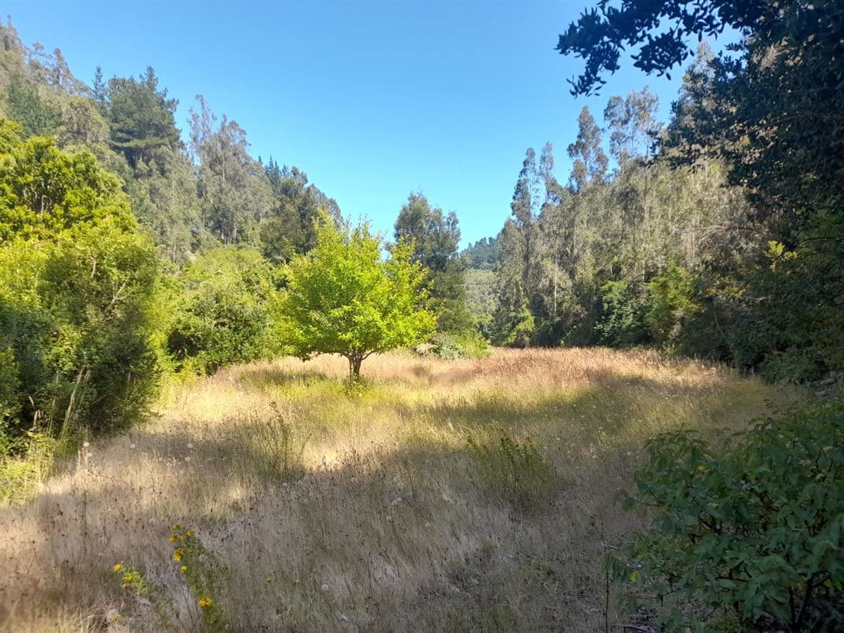 3,4 km de Plaza de Cobquecura