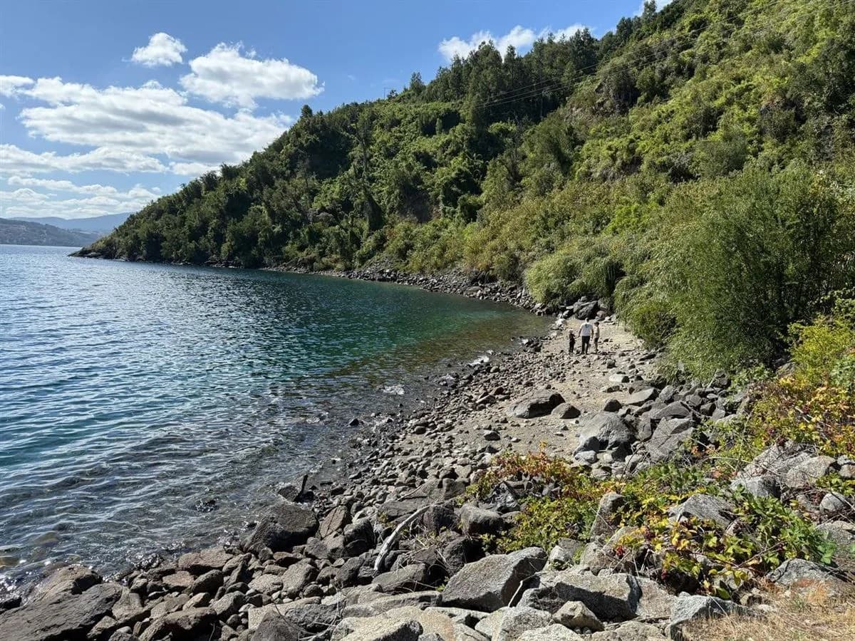 Lago Ranco, Futrono, La Trafa