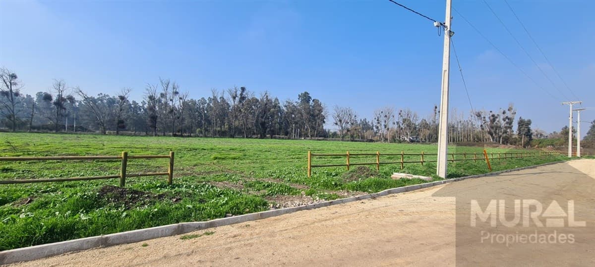 Carampangue - Colegio El Trebulco - Autopista del Sol