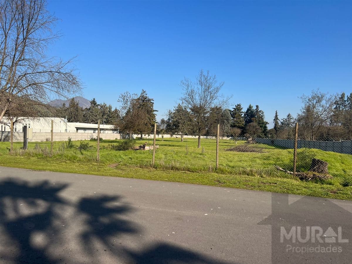 Camino El Oliveto esquina Lonquen Sur 