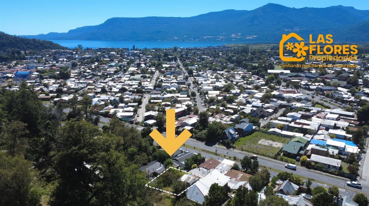 variante internacional