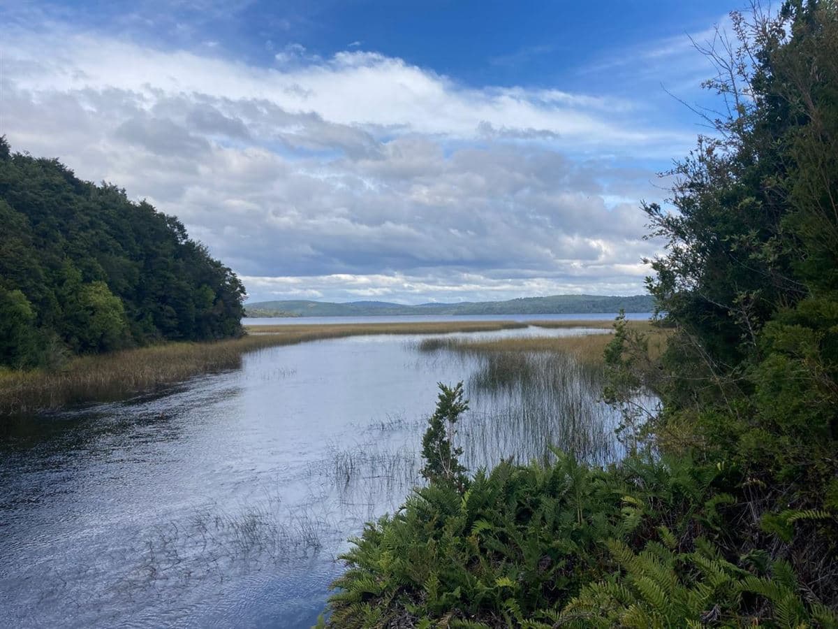 Oportunidad. Lindo terreno de 26 hect en Chiloé. A un km de Lago Tepuhueico.