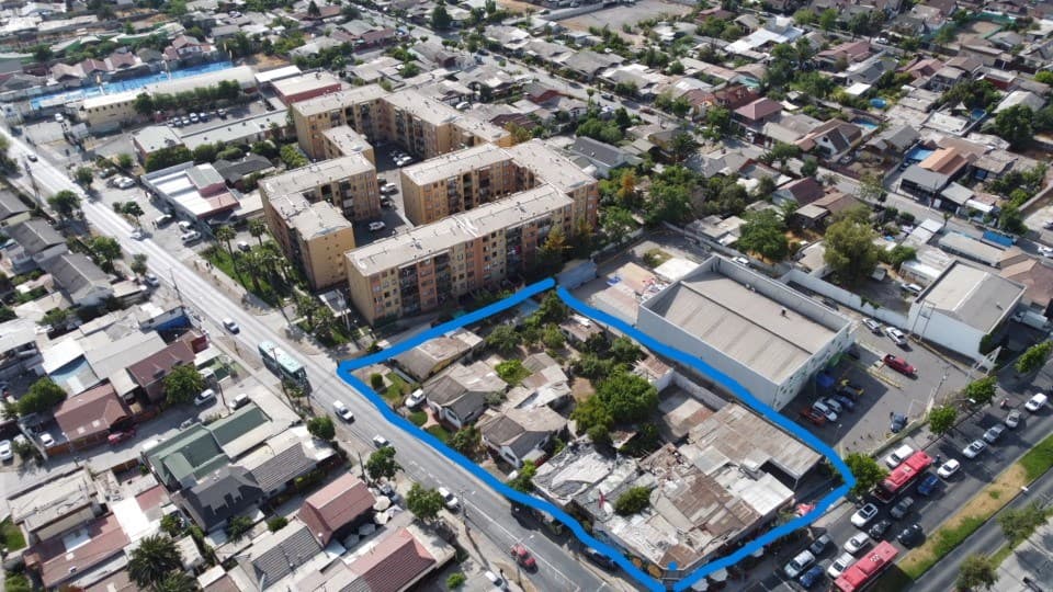 Pajaritos con Portales