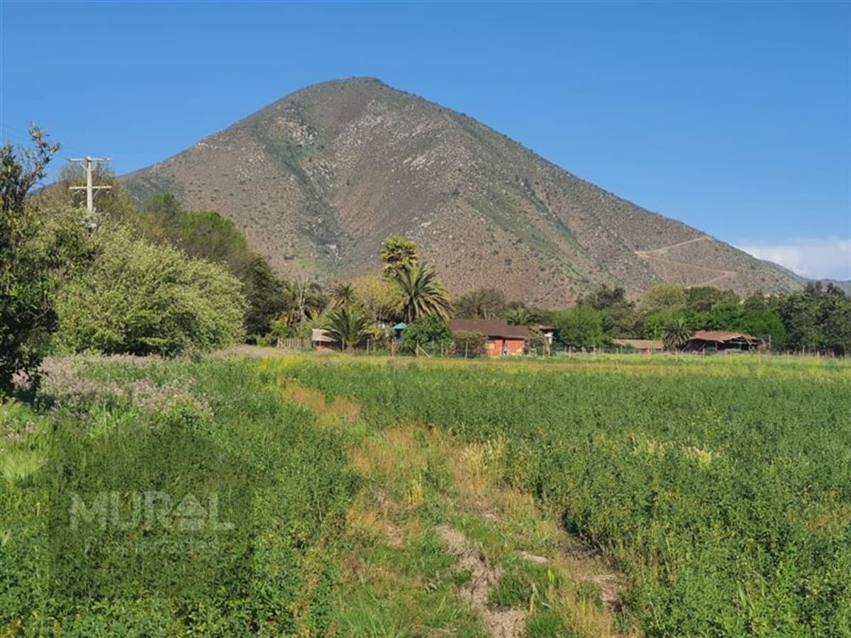 Camino lonquen Sur con Carampangue, colegio Trebulco, Isla de Maipo
