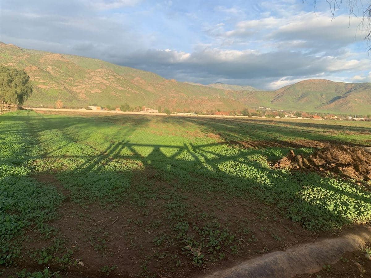3 paños de 3, 5 y 8 HA c/u urbano colindante con salida norte de Las Brisas de Chicureo