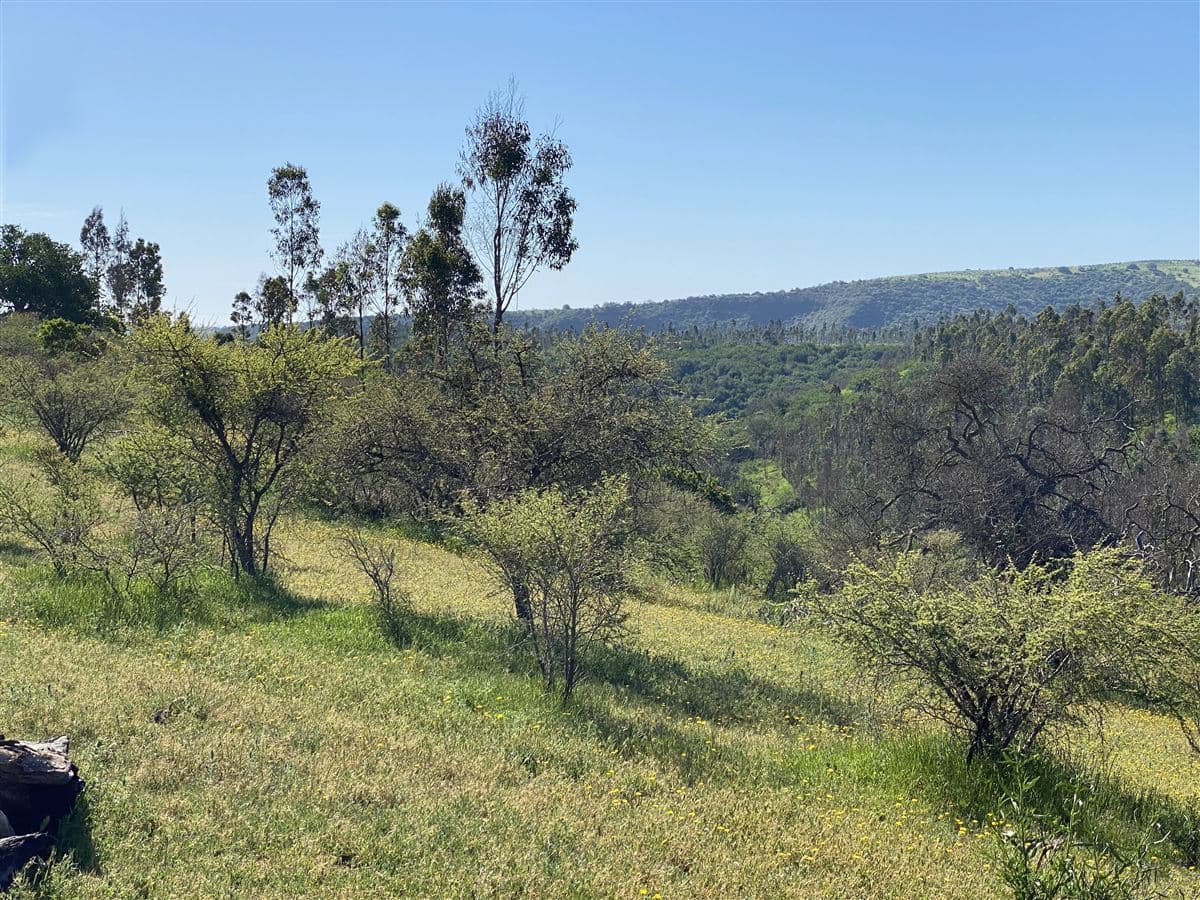 598W+CQ8 Santo Domingo