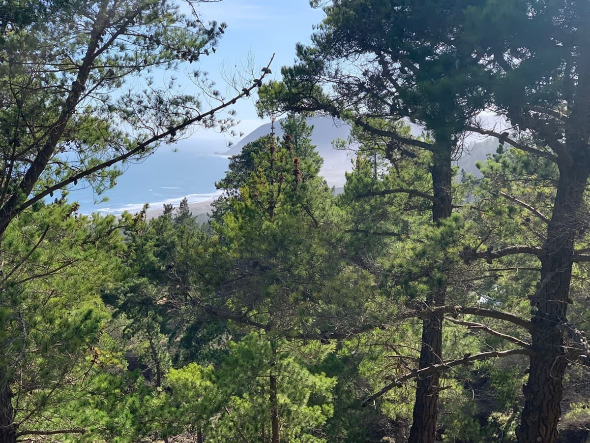 Hijuela Puertecillo Lote 54 Hacienda Topocalma