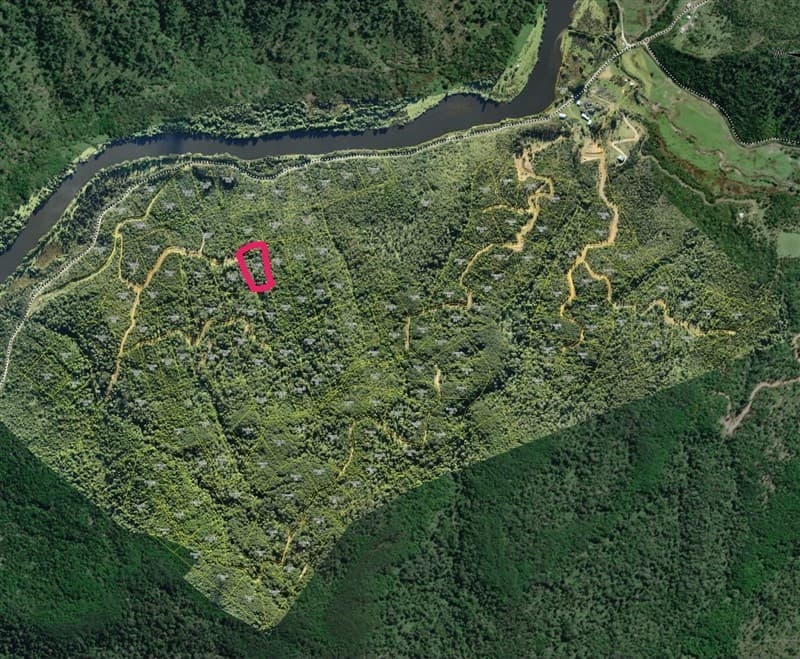 Sector Faja Fiscal Cordillera Saraos, Río Llico