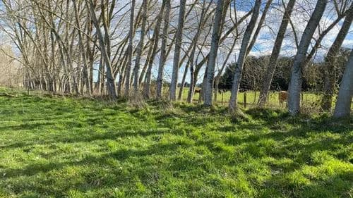 A 20 min de Frutillar ruta v200