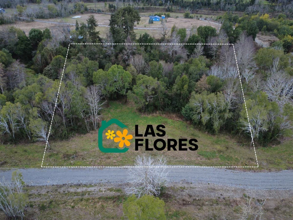 san carlos