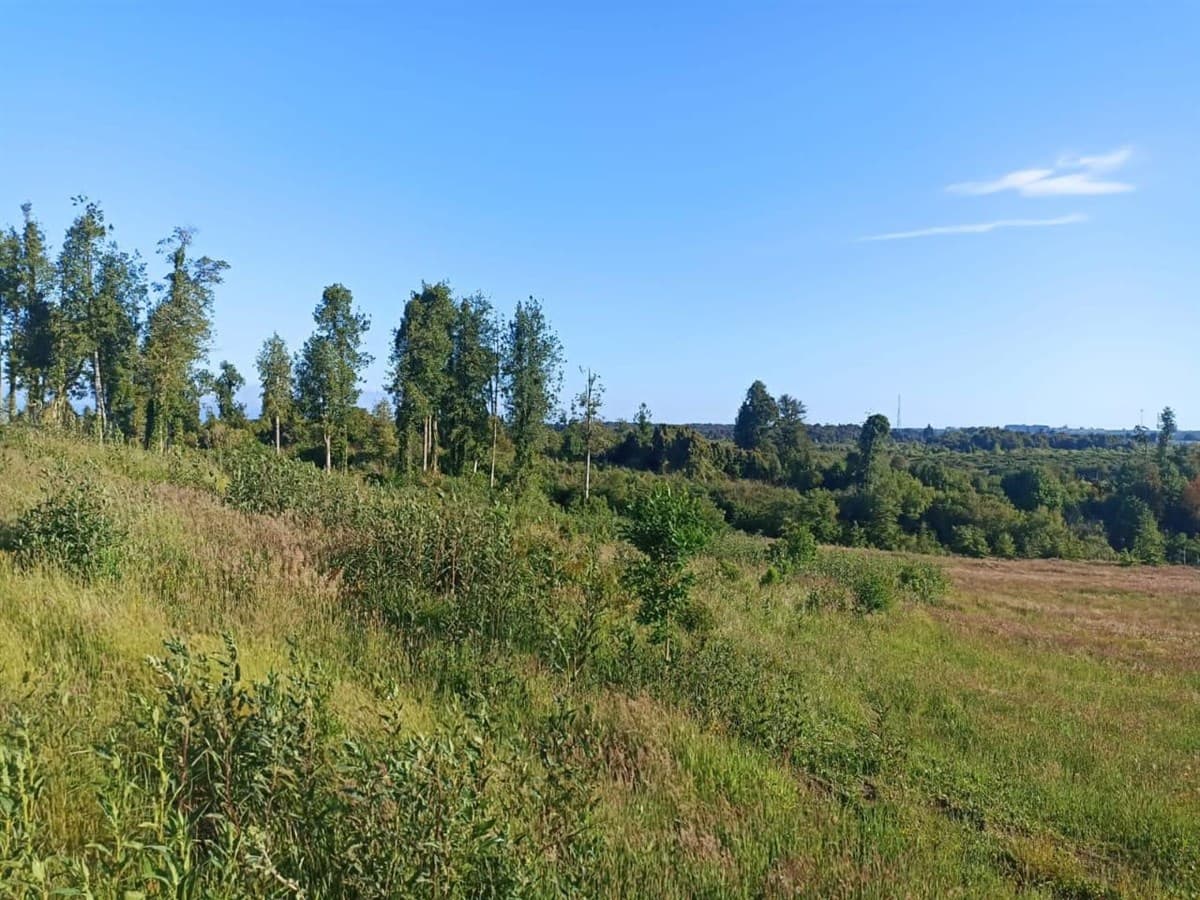 Ubicada en Loteo Lomas del Sur a 7min del centro de Puerto Varas