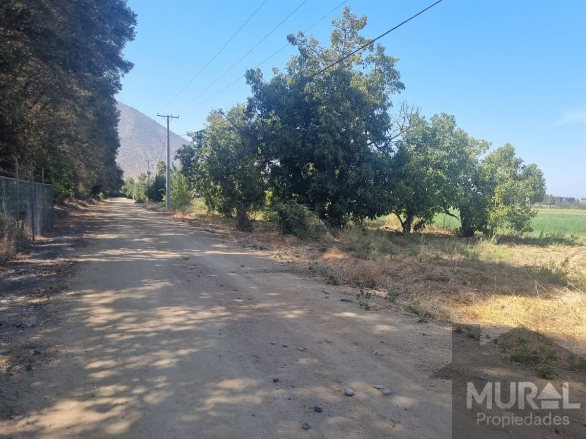 Lonquen Sur - Camino Carampangue - Granja Educativa