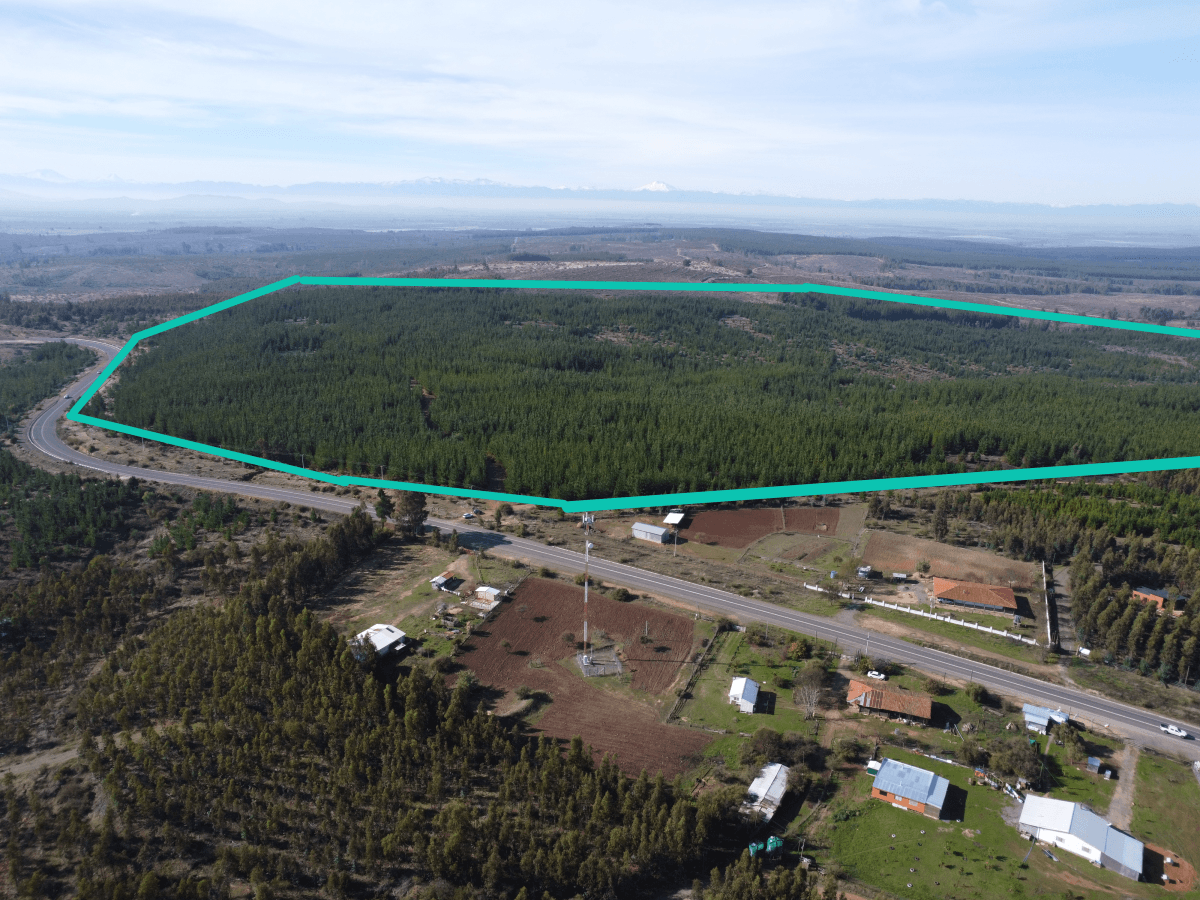 ruta los conquistadores