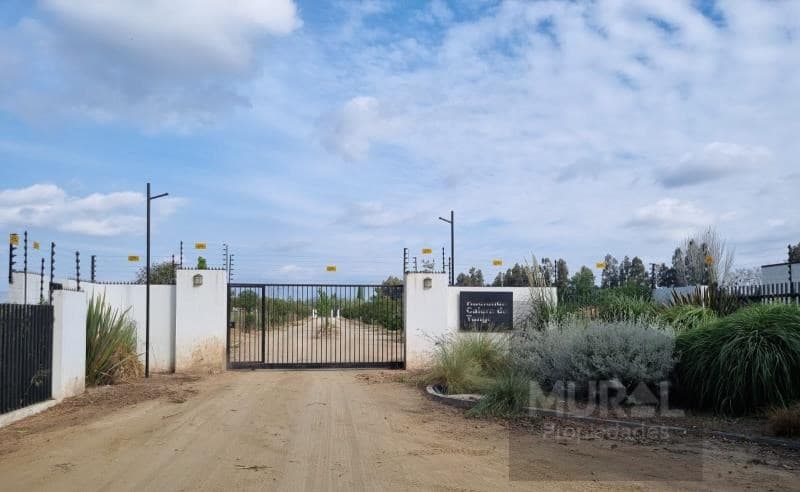 etapa III. Chavalongo - El SAUCE - LONQUEN SUR 