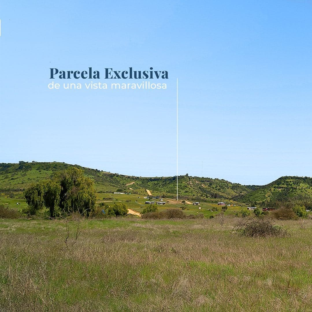 A pasos del centro Central Rapel