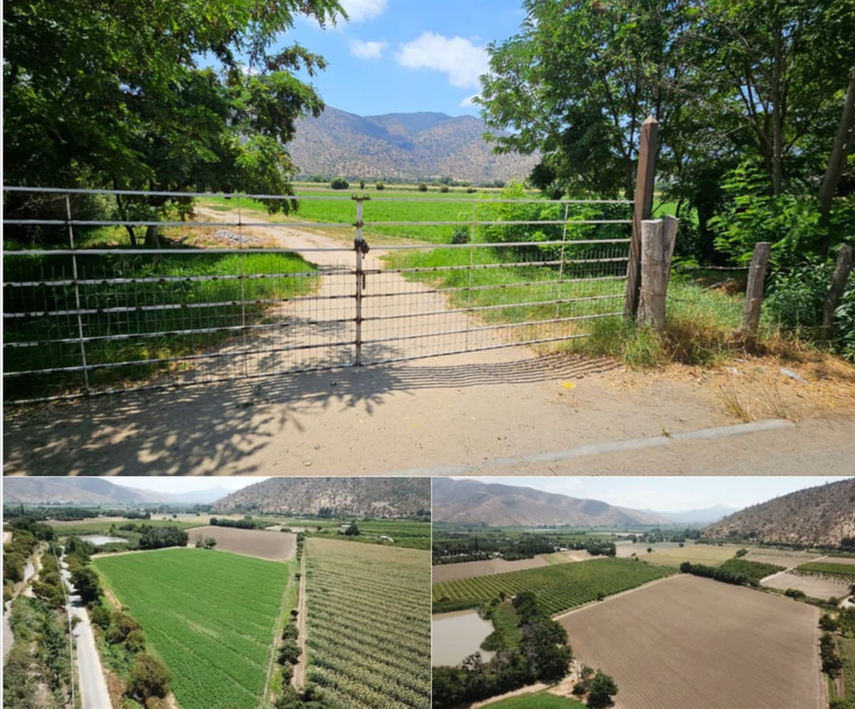 Camino Miraflores / Maria Pinto