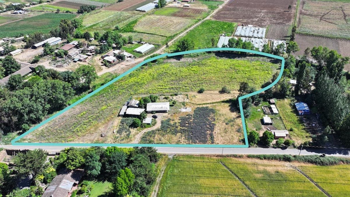 PC 86 LT B P P POR VENIR