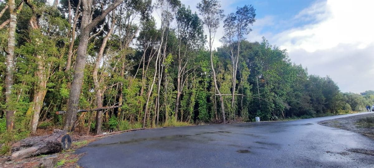Venta de 2 Parcelas en Campomar, Puerto Montt!