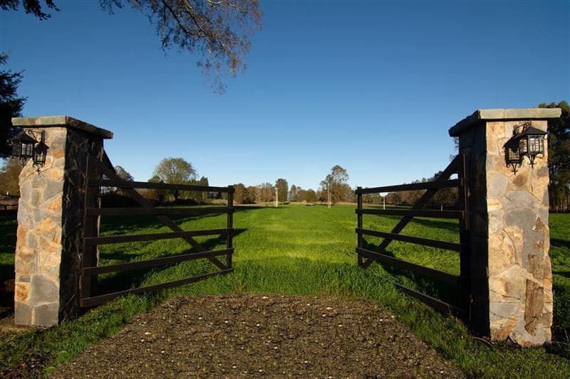 HUELLAHUE/PANGUIPULLI/ PARCELAS PLANAS 5.000 M2