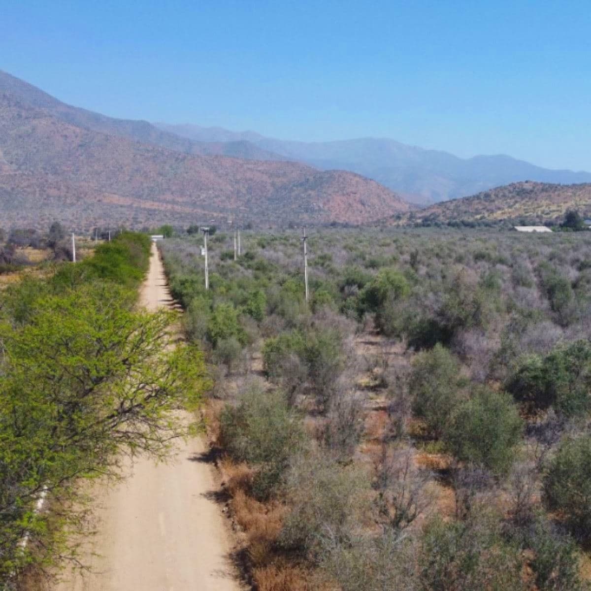 Plazuela de Polpaico