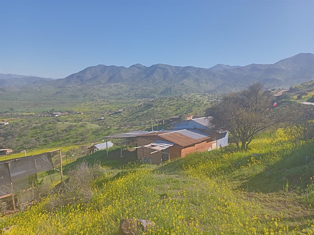 Fundo Los Condores 167