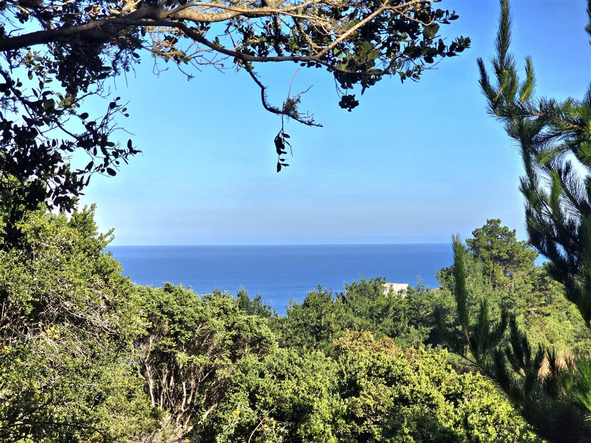 Coliumo, Los Morros, Punta Talca