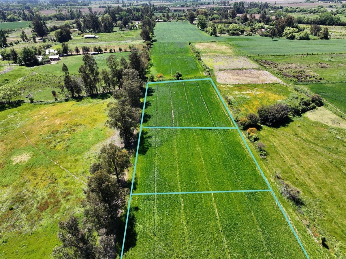 Las Toscas en Linares