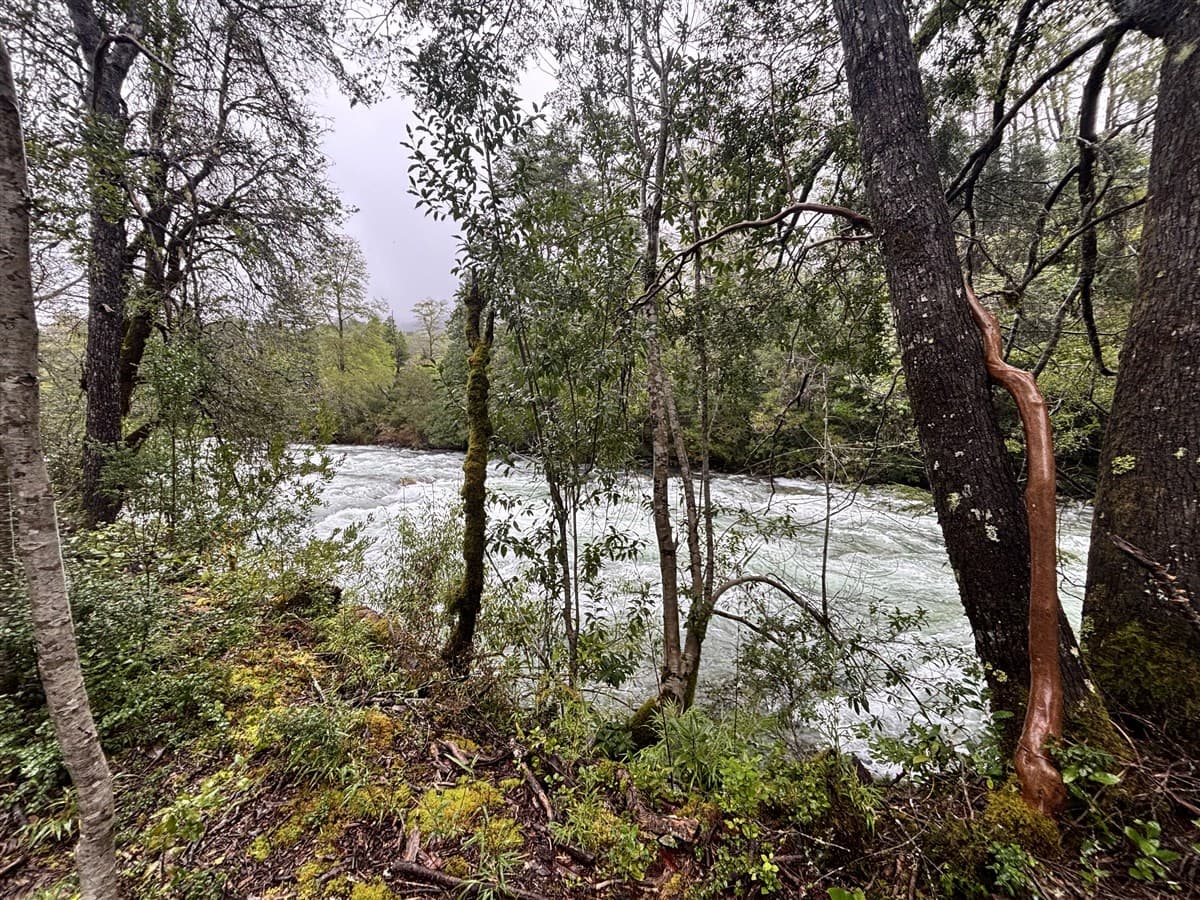 saltos del pocolpen