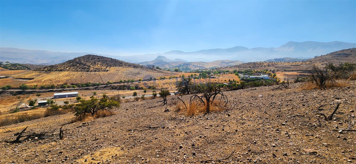 Hacienda Chacabuco J47