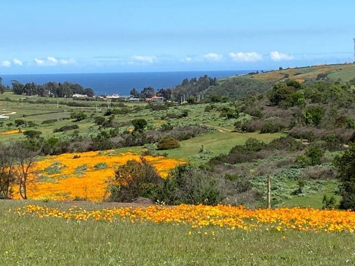 Terreno 40 Ha. para proyecto inmobiliario desarrollo urbano de sitios de 1.000m2 // Con Con