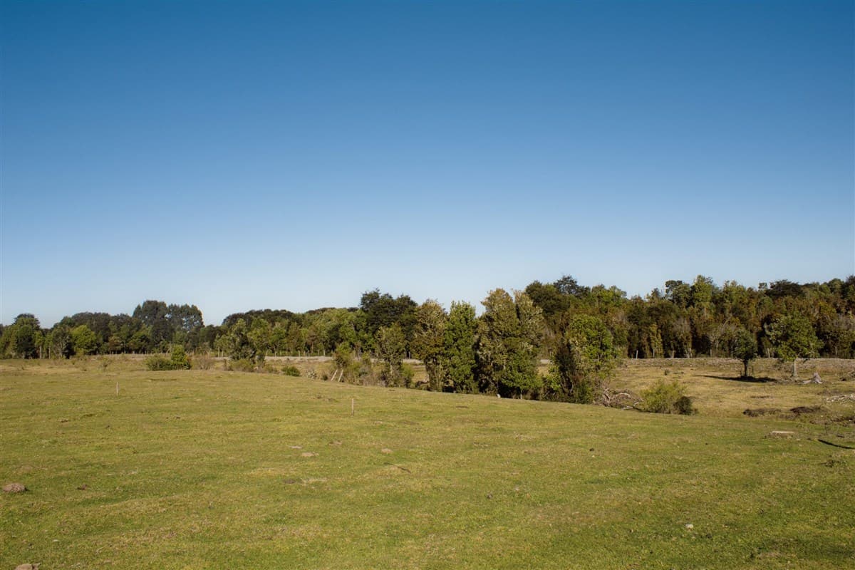 Pargua