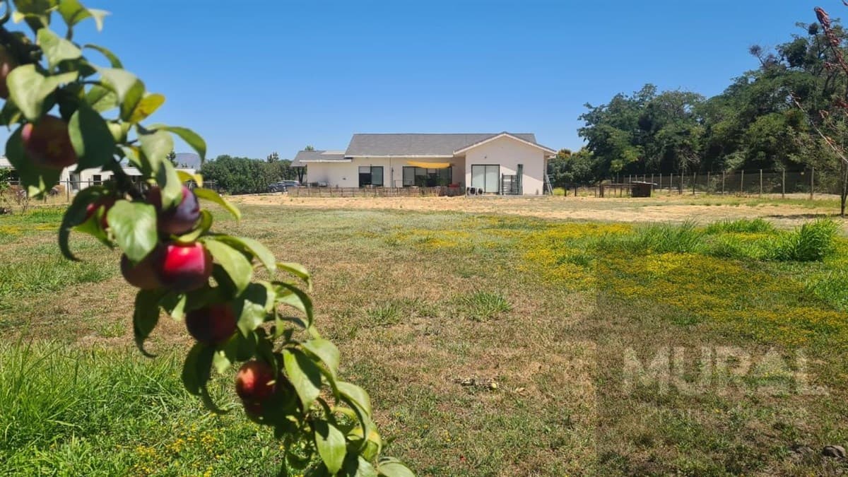 Camino Loreto - Lonquen Sur - Balmaceda