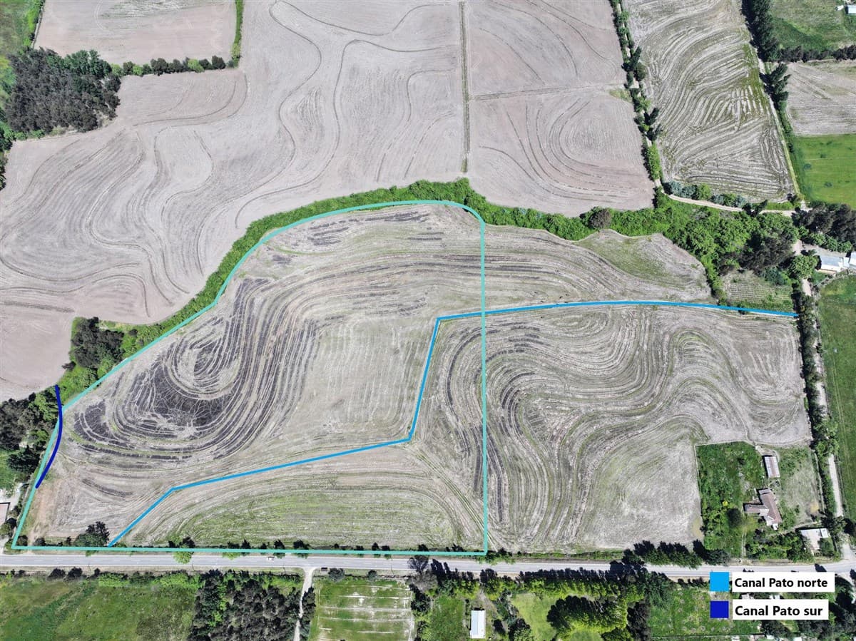 35°47'14.7"S 71°41'43.9"W