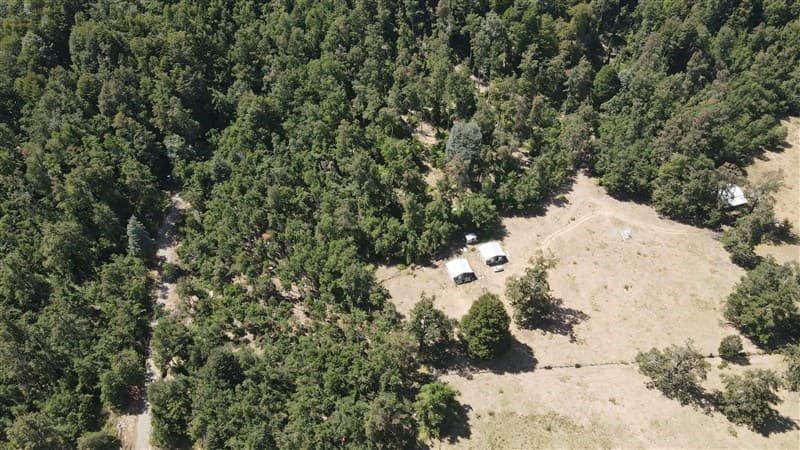 Palguin alto kilometro 6