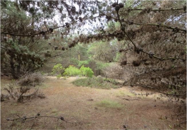 Curaumilla Laguna Verde Valparaiso